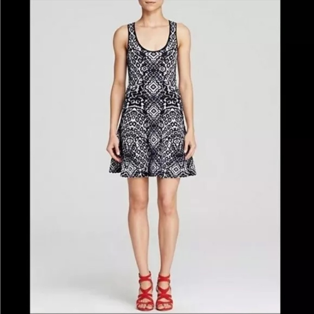 Torn by Ronny Kobo Dress